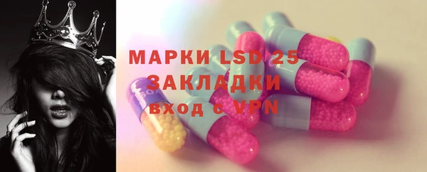 мяу мяу мука Баксан