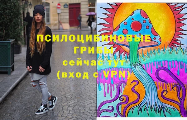 круглые Белокуриха
