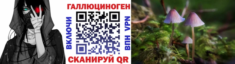 что такое Верея мориарти как зайти Галлюциногенные грибы прущие грибы