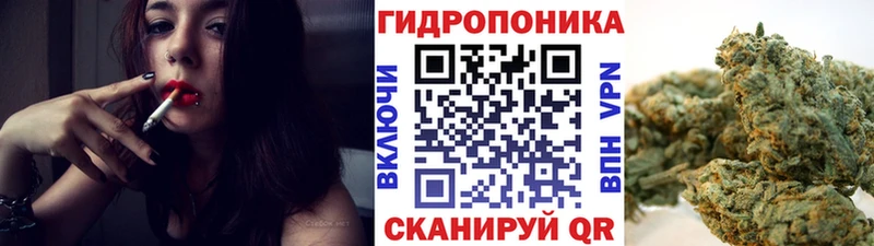 цена наркотик  Верея  Конопля White Widow 